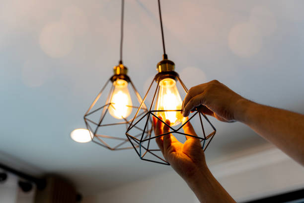 Best Local Electrician Companies  in , SC